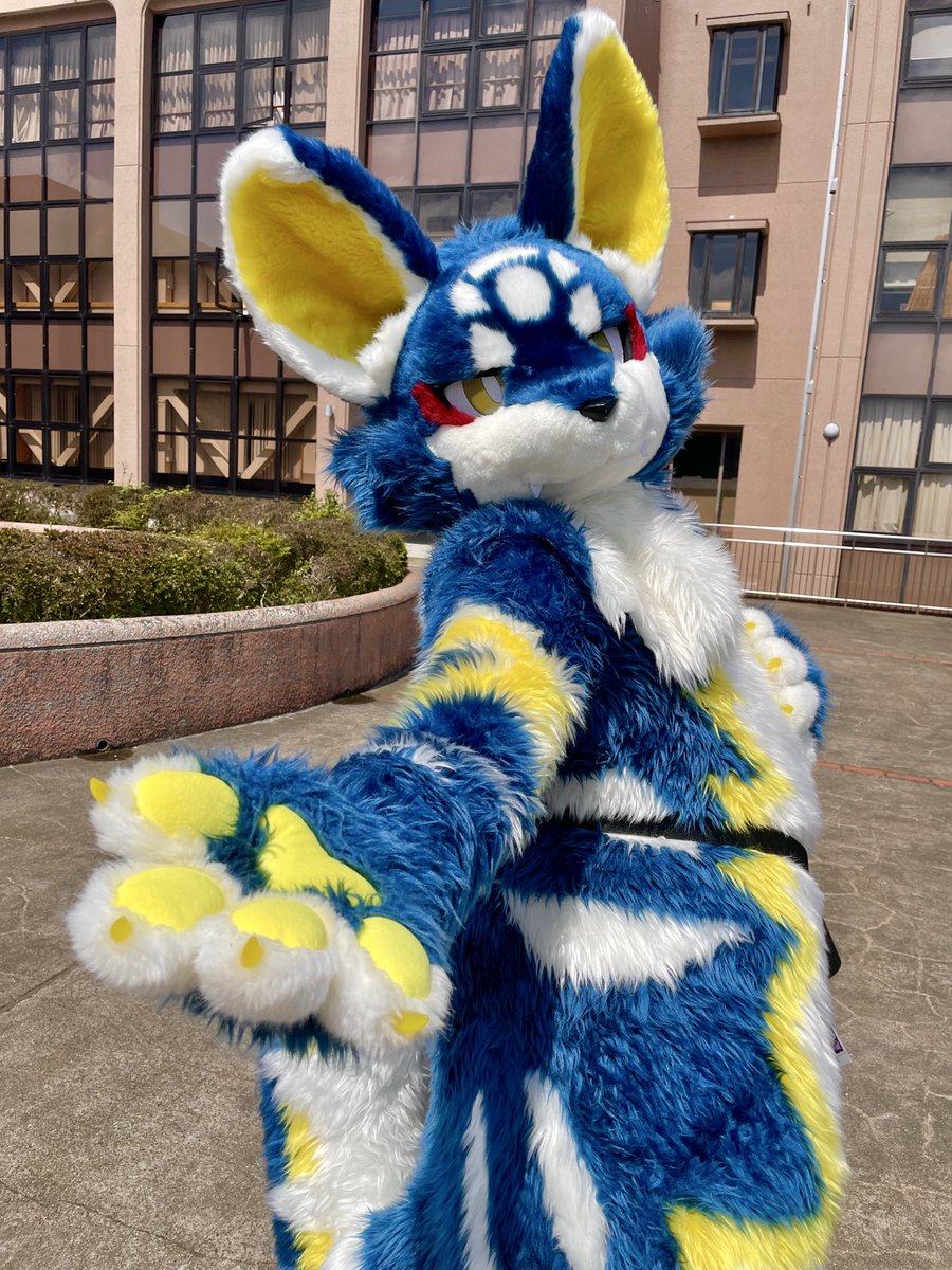 ハムちゃん tweet media