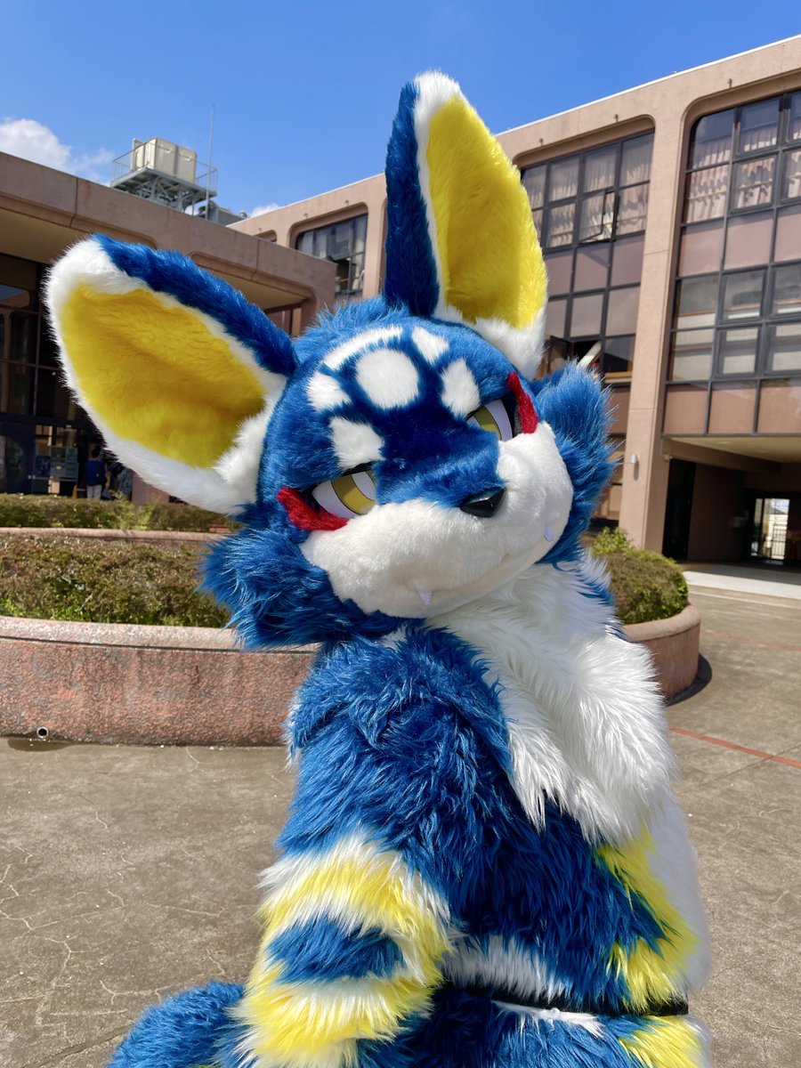 ハムちゃん tweet media