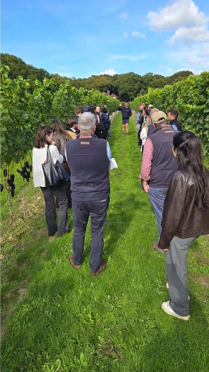 Biddenden Vineyards tweet media