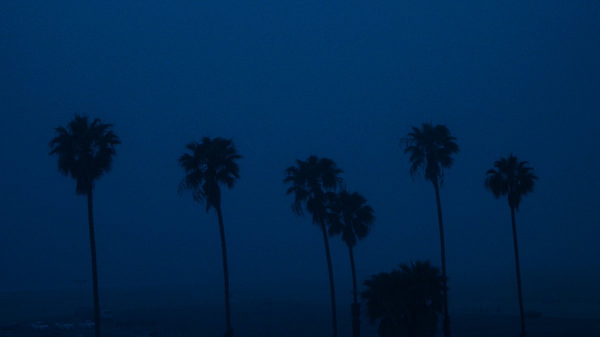 patrick. tweet media