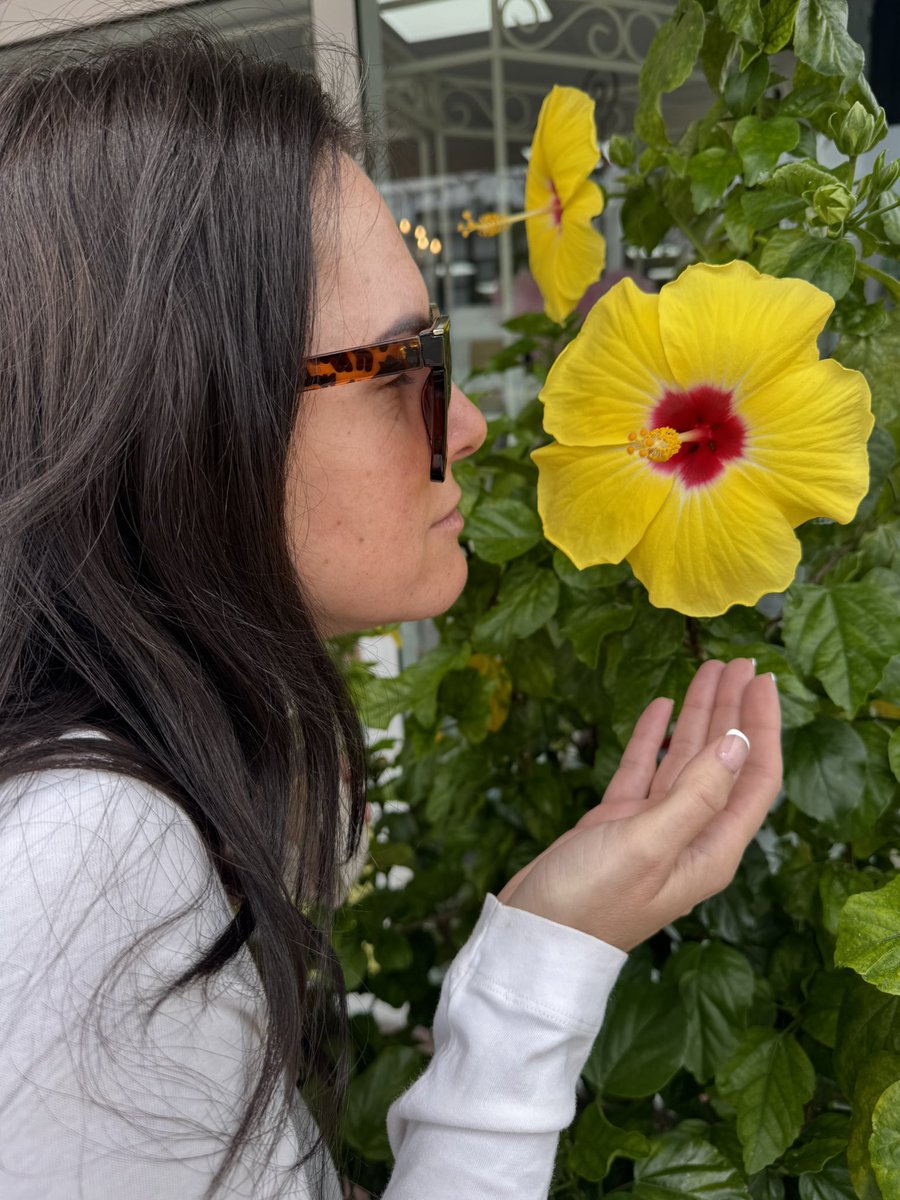 JDarkxxx's tweet image. Beautiful relaxing morning 🌸😘#florida #summervibes #travel