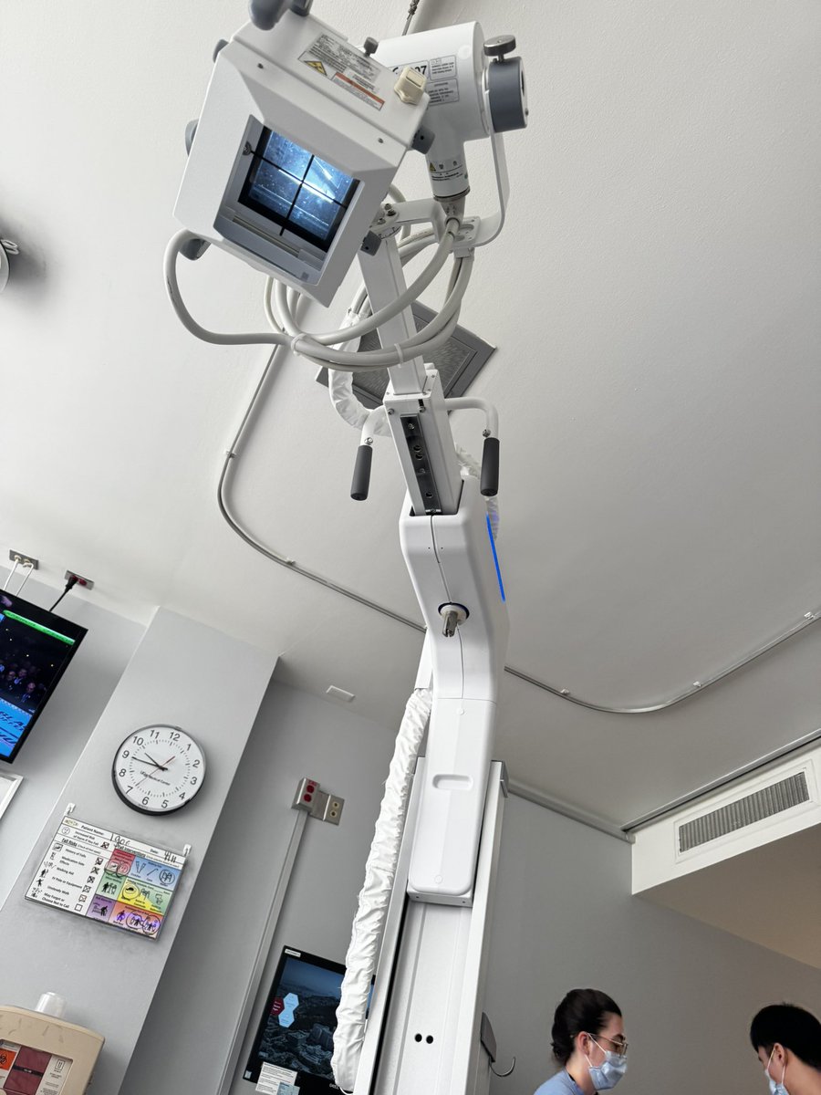 Rose Celine Investments 🌹 tweet media