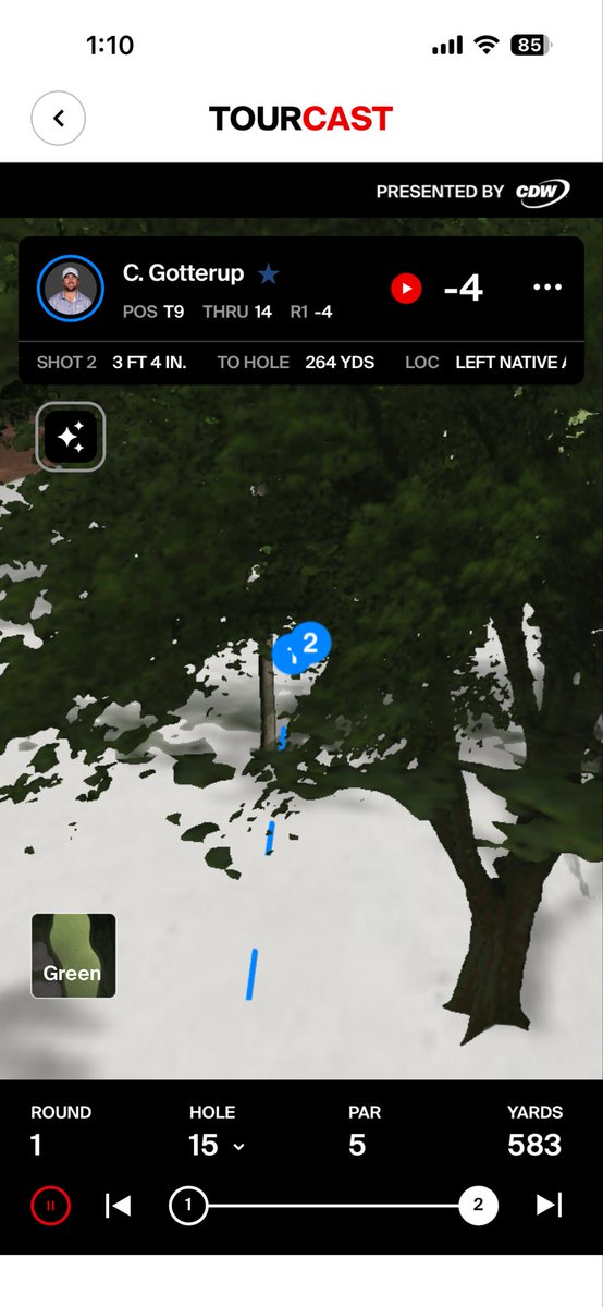 Chris Gotterup Tracker tweet media