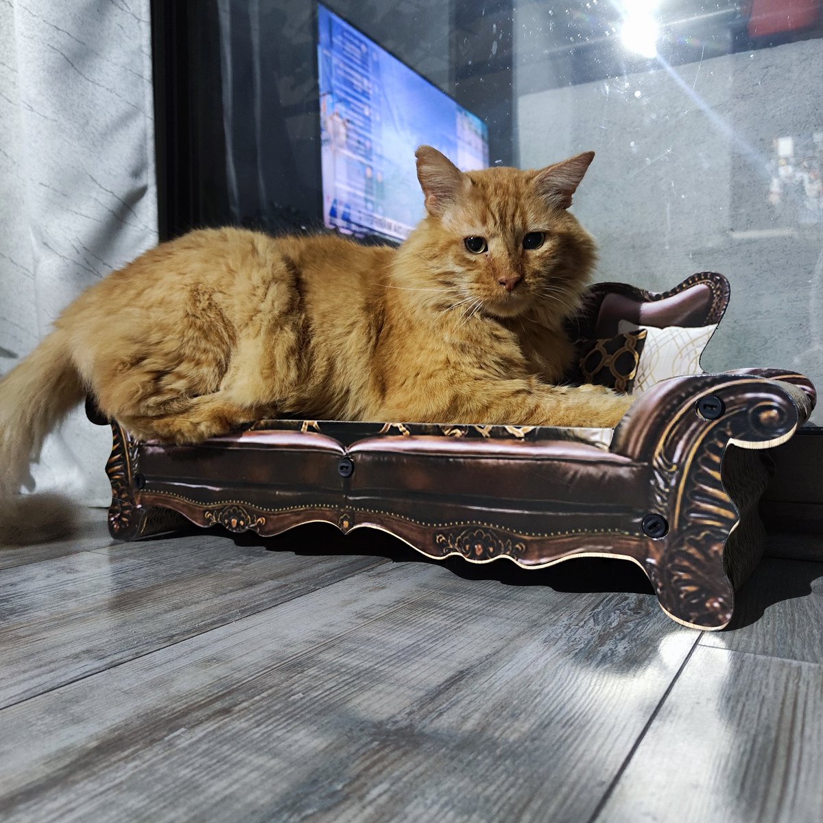 Mariela Balza tweet media