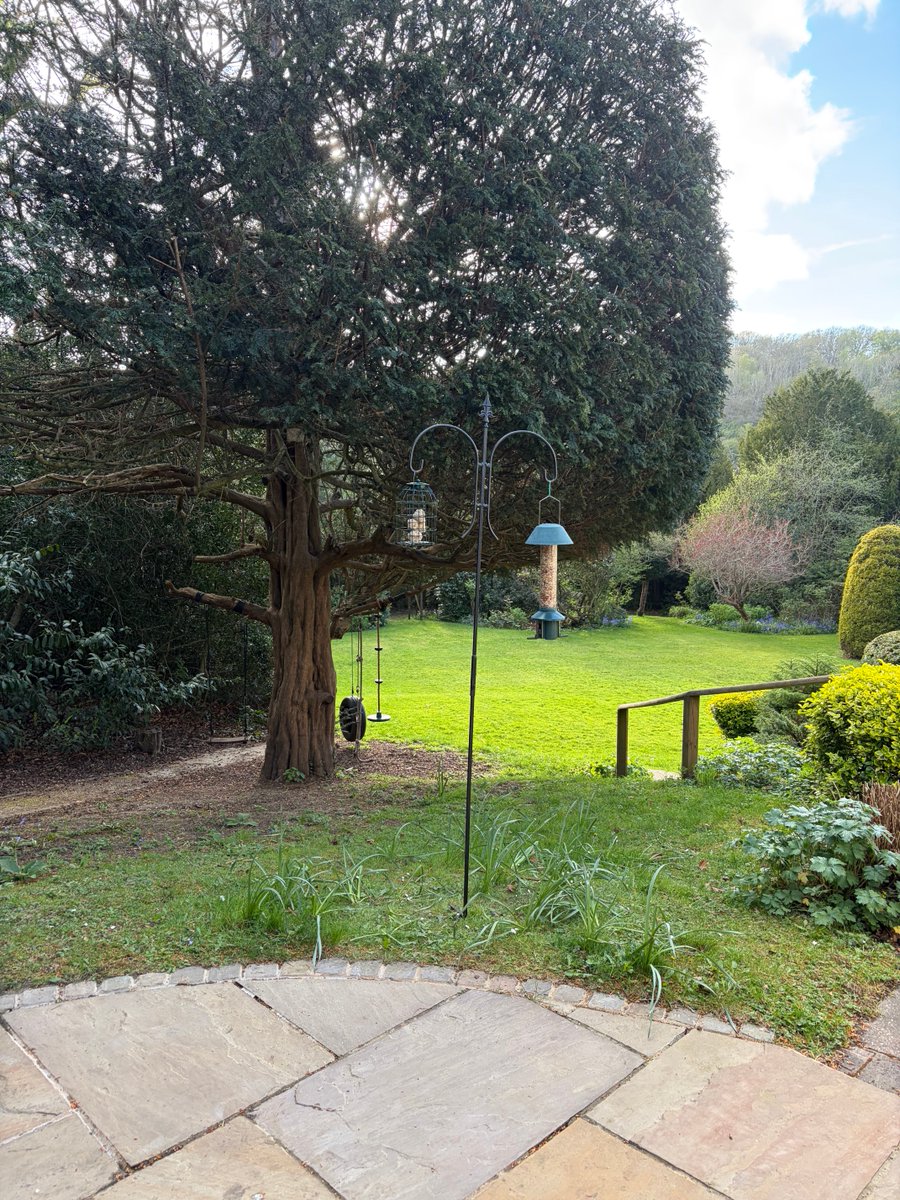 Samuel Weeps tweet media