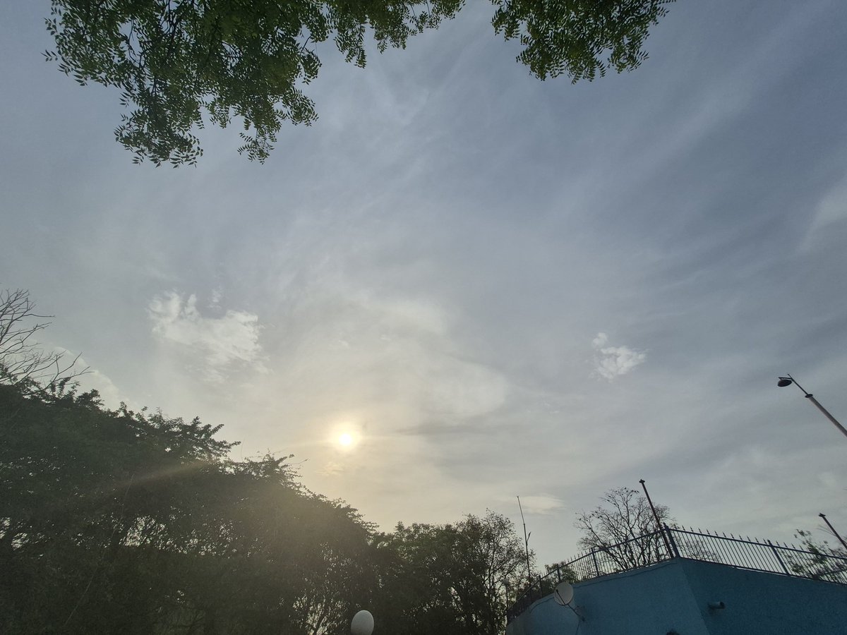 Nikhatjaha1's tweet photo. #Nature 
#Delhi https://t.co/OFY4fRTmnj