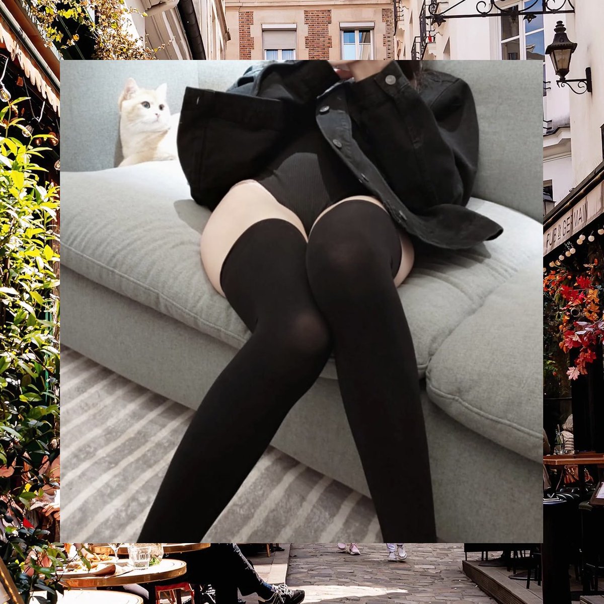 Mark Bader tweet media