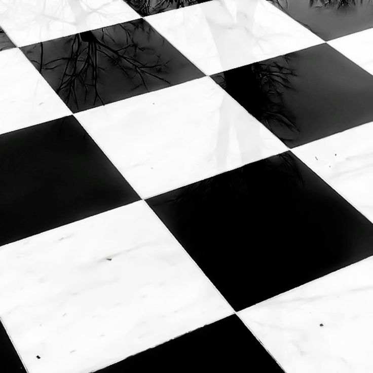 🔪 𝘵𝘦𝘭𝘦𝘧𝘳𝘢𝘨𝘨𝘦𝘳. 🎱 tweet media