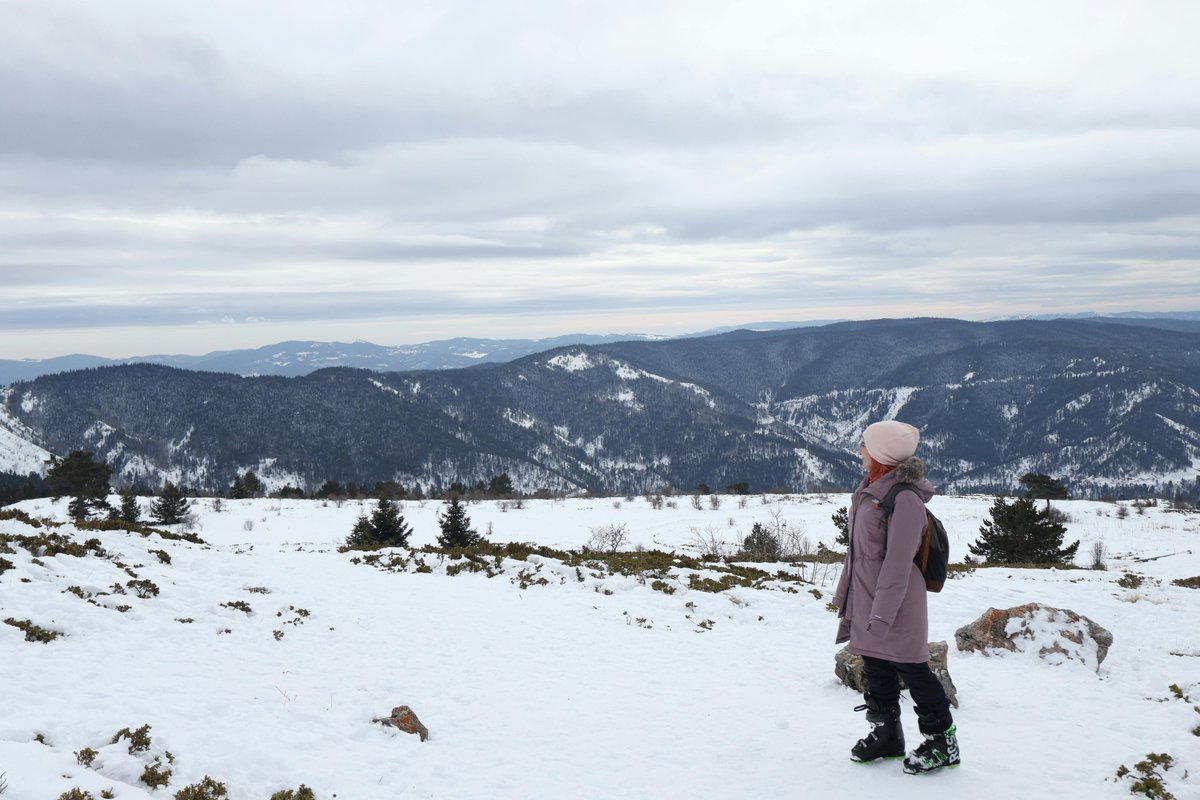 econd junior tweet media