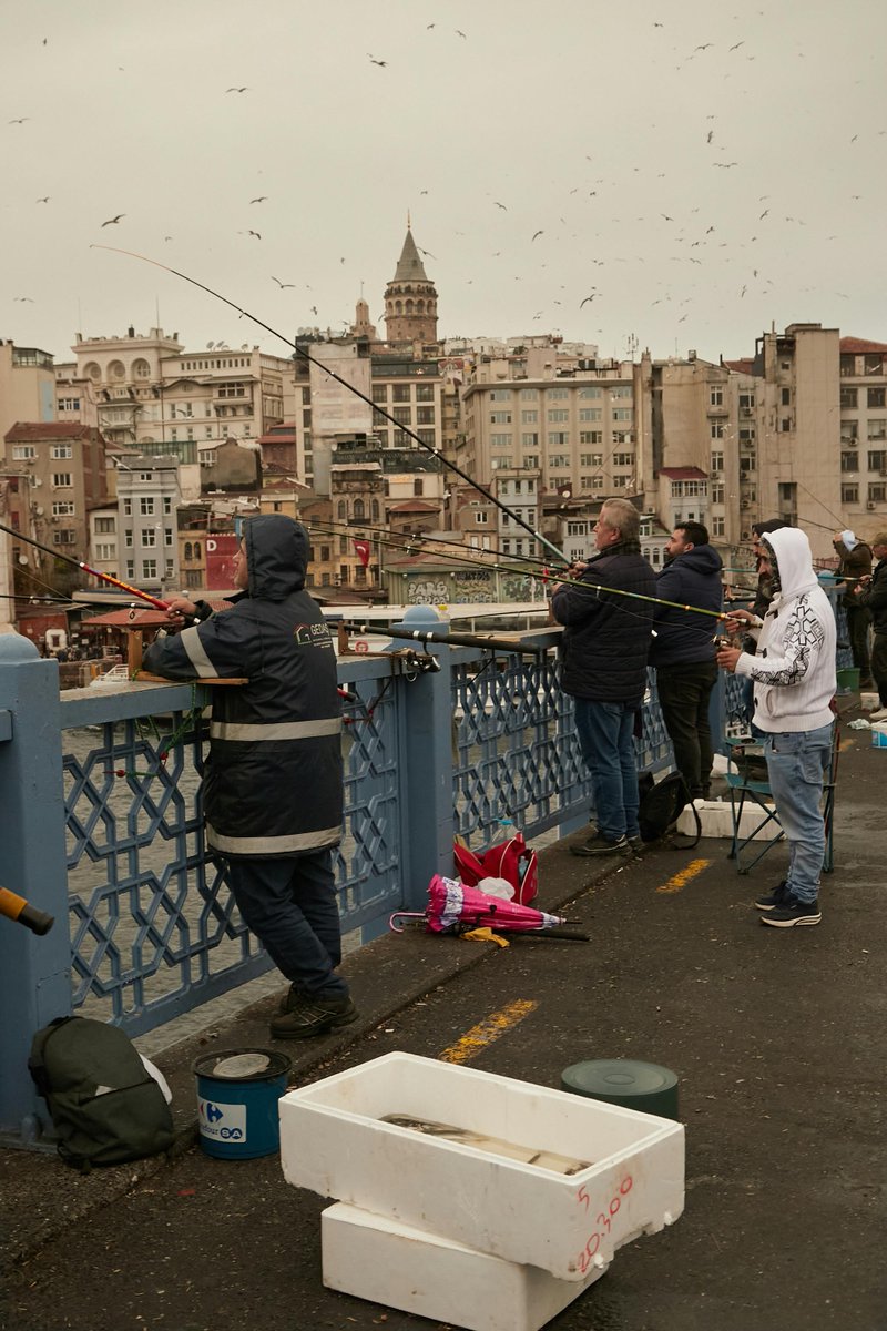 econd junior tweet media