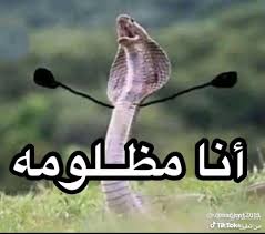 🥷 𝓘 𝓓𝓞𝓝\'𝓣 𝓒𝓐𝓡𝓔 tweet media