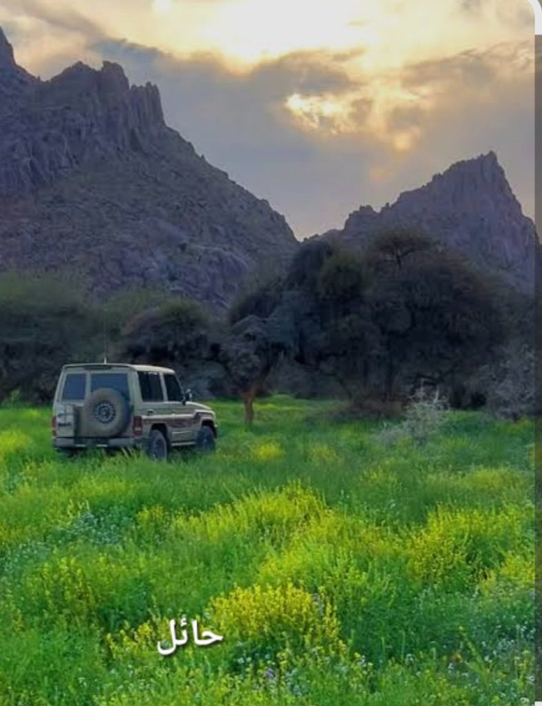 ابو سلطان tweet media