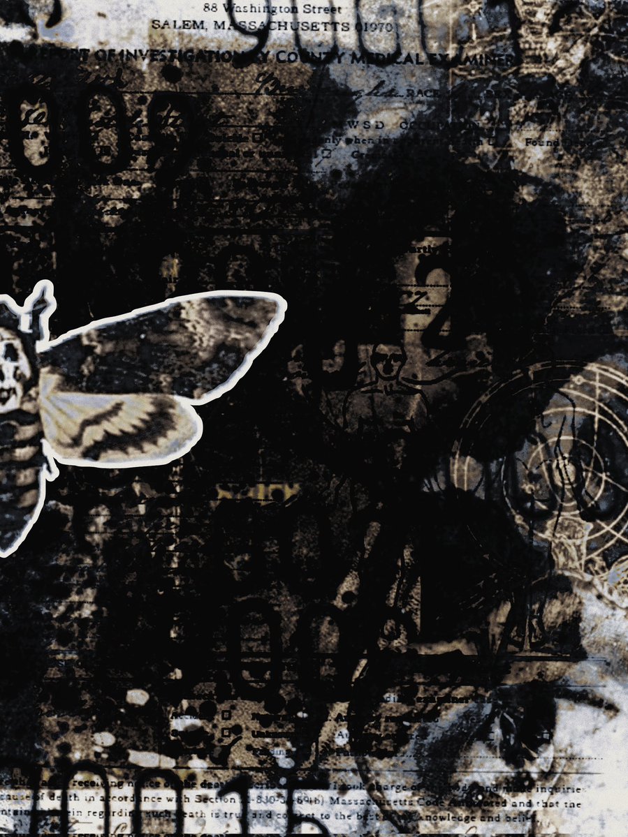 ‍ ‍ ‍ 𝑎𝙶͟𝙴͟𝙽𝚃 ‍ ── ‍ 𝑠ᵀᴬᴿᴸᴵᴺᴳ ‍ tweet media