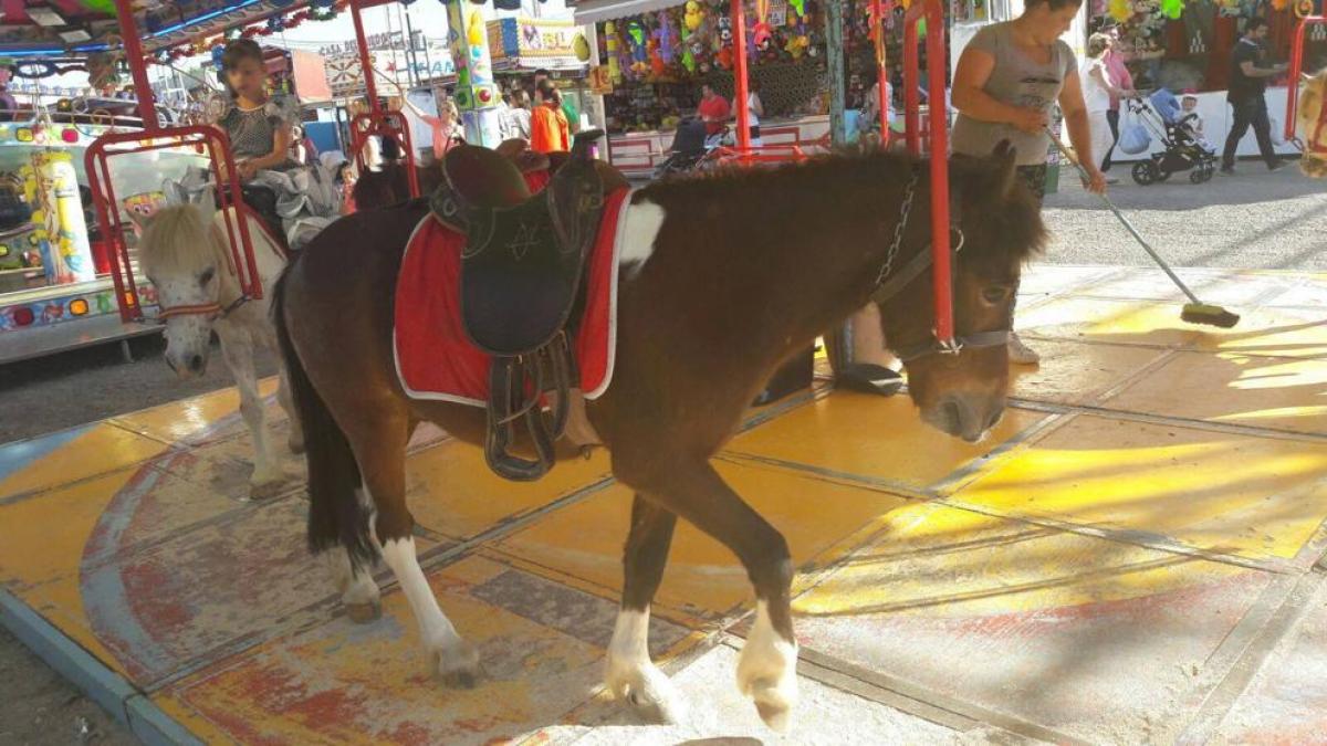 José Ángel Ríos tweet media