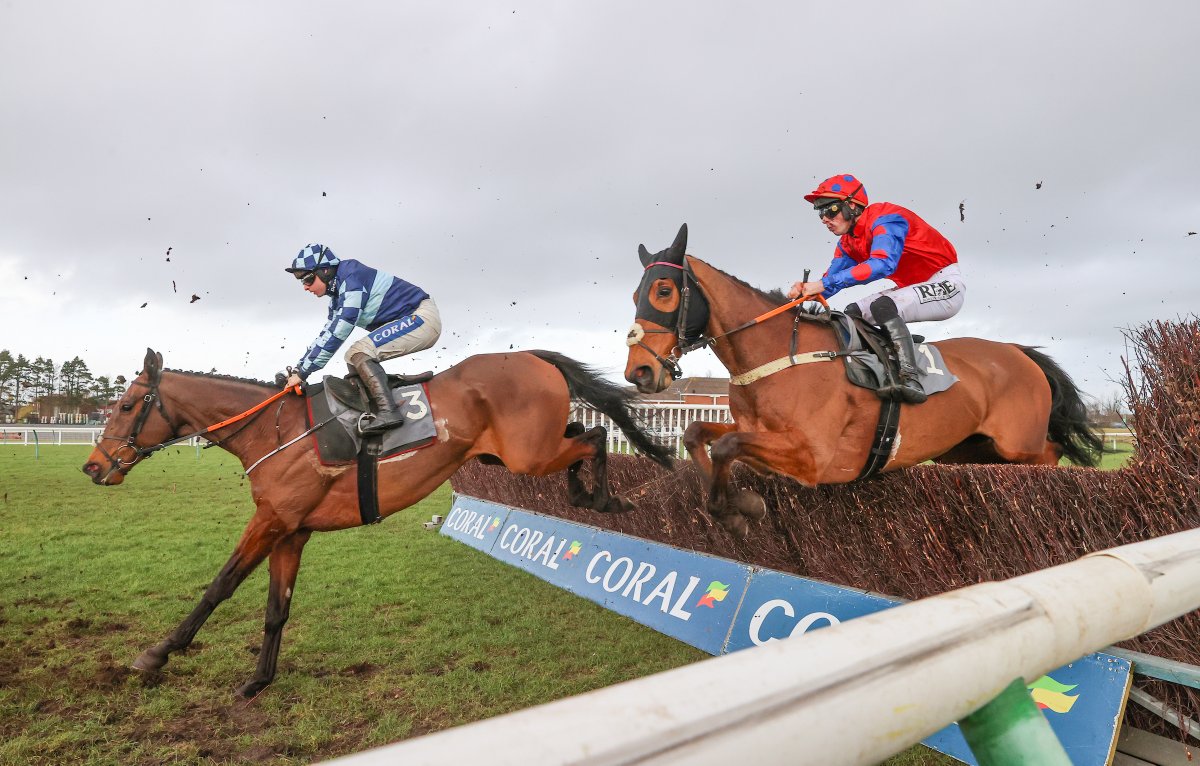 kinneston's tweet photo. Farewell to Elvis and four runners at first day of @ayrracecourse National Meeting - https://t.co/JhwaoNfG1k https://t.co/uoUoTUwrbU