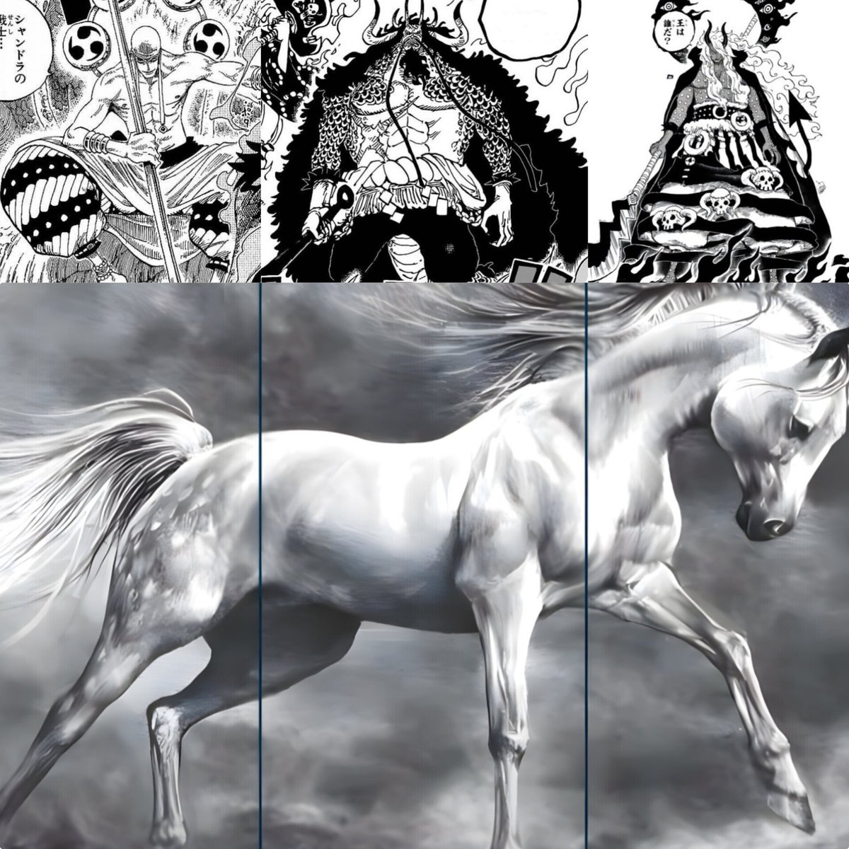 monkey D dorky 👾 tweet media