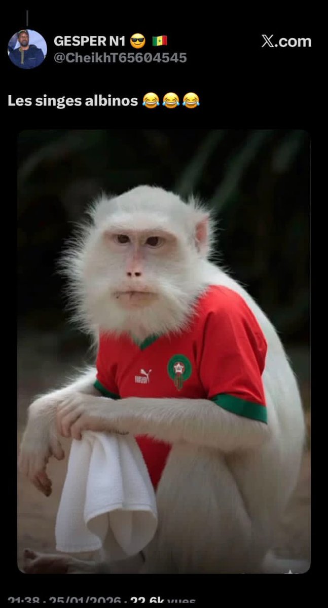 Sen 🇸🇳1-0 🇲🇦Maroc tweet media