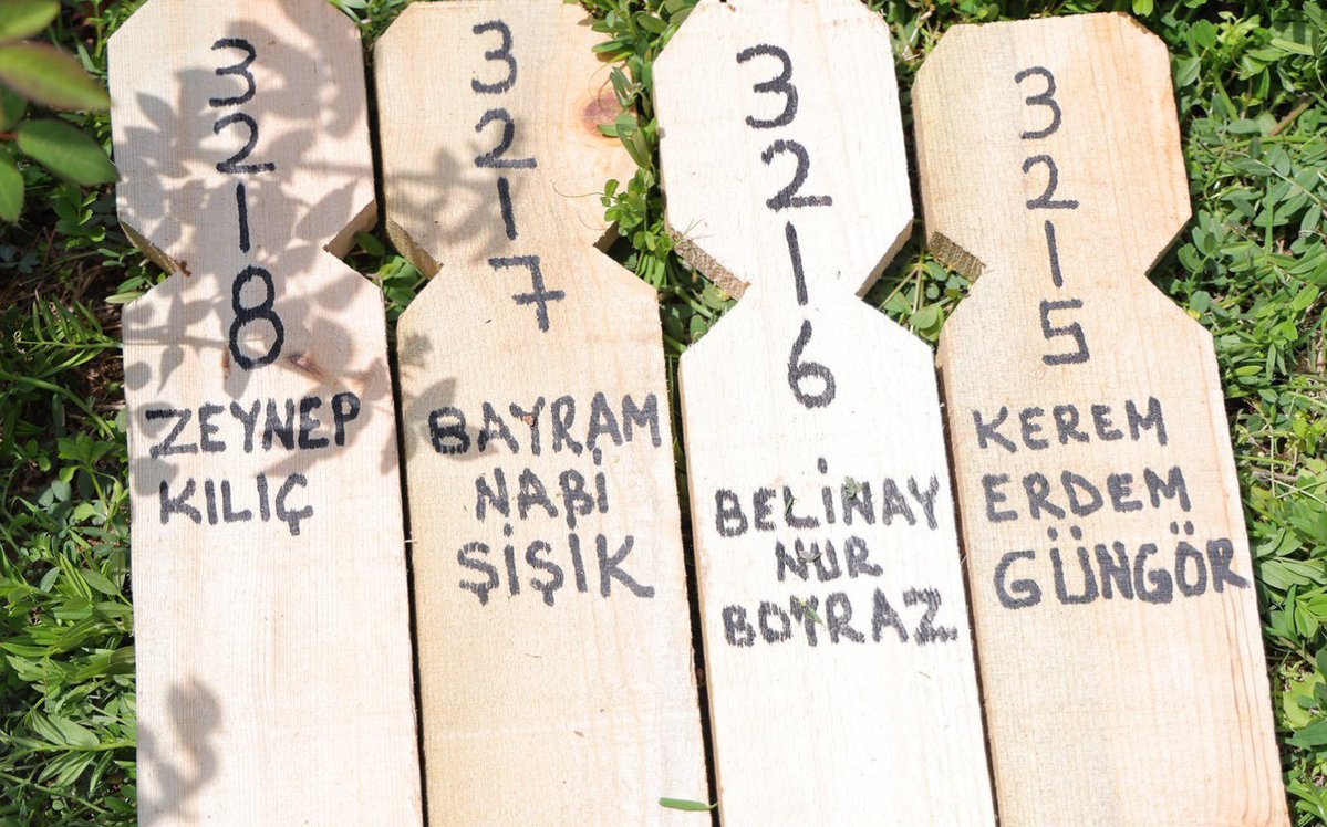 Burçin Şahindur tweet media