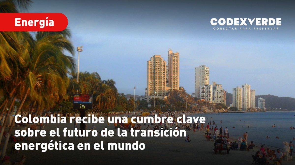 Codexverde tweet media