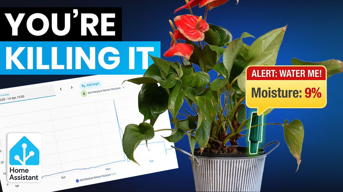 byteofgeek's tweet photo. NEW Video 👉 This Zigbee Sensor Finally Stopped Me Killing My Plants. 

Click the link in the comments to watch the full YouTube video or any other smart home related video on my YouTube channel. 

#SoilMoistureSensor #HomeAssistant #SmartPlants https://t.co/6N9rj25wYu