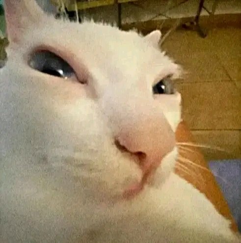 Kim_Chi 🥬🌶️ tweet media