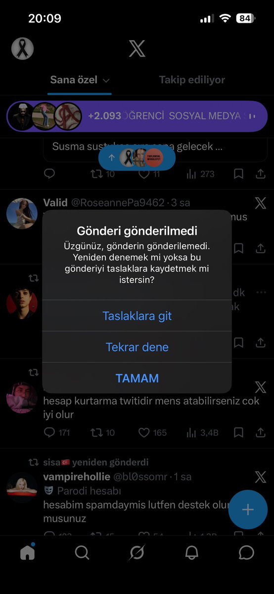 platonic pirate tweet media