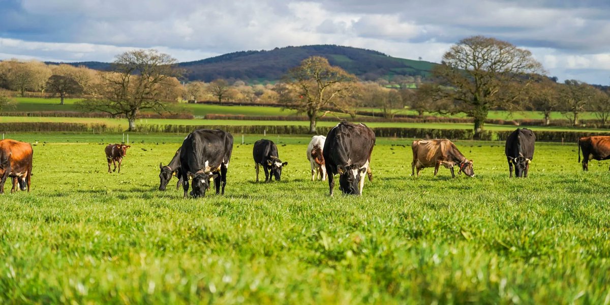 Sama Hoole tweet media