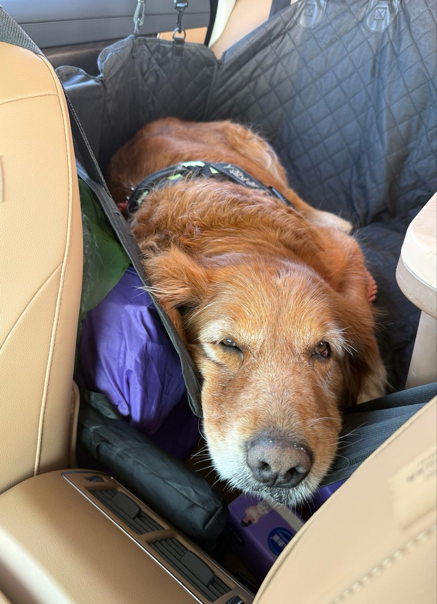 web3黑奴 tweet media