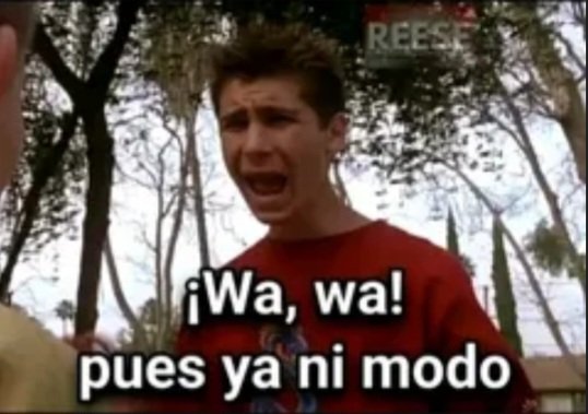 Venom Cat tweet media