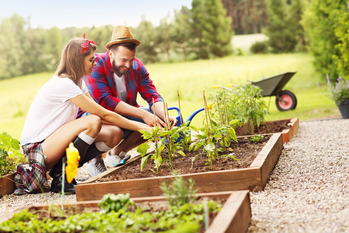 VA Long Beach tweet media