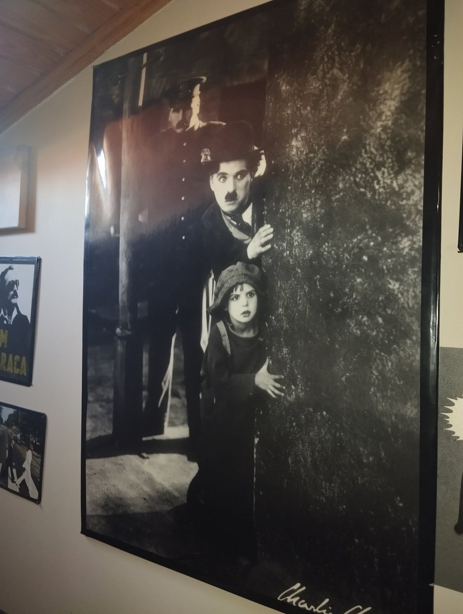 dostbulut tweet media