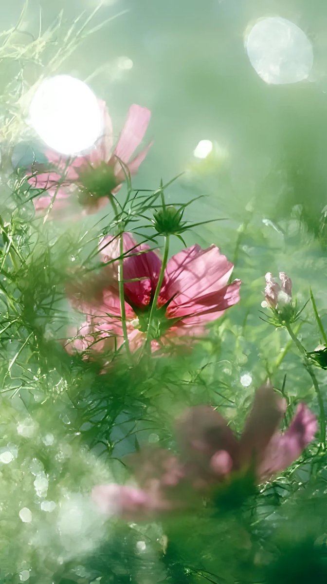 Costes Bertrand tweet media