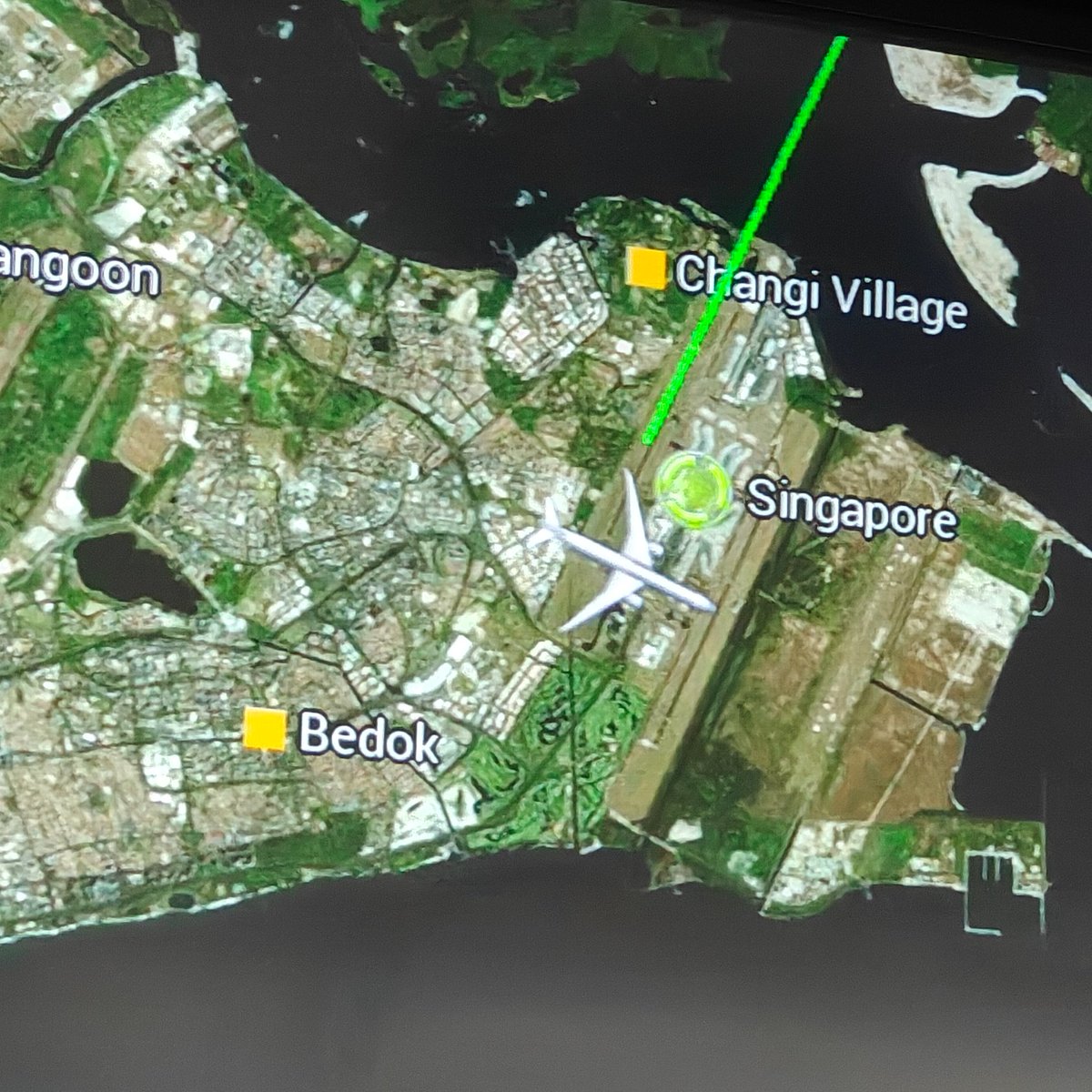 Yuzhin 🇸🇬 tweet media