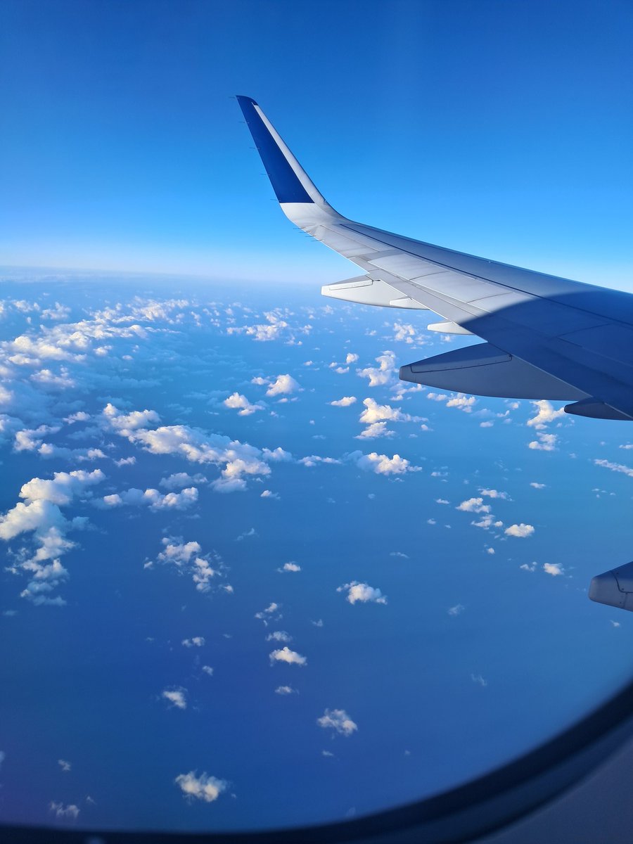 🌷 vanemiin 🌷COMMISSIONS OPEN! tweet media