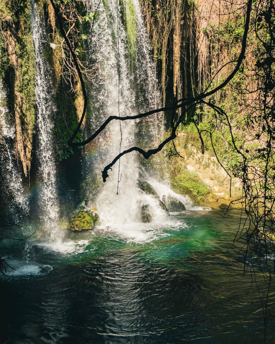 ahsan habib tweet media