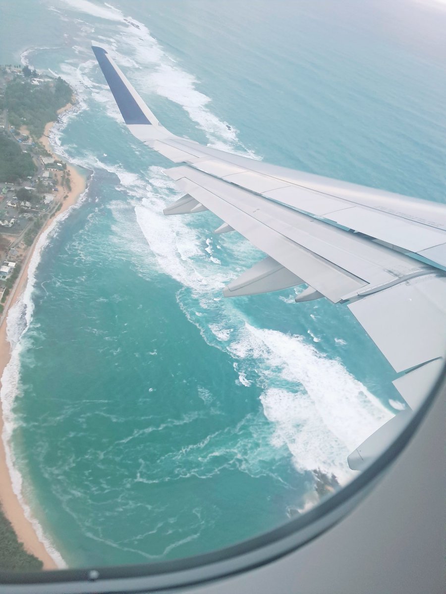 🌷 vanemiin 🌷COMMISSIONS OPEN! tweet media