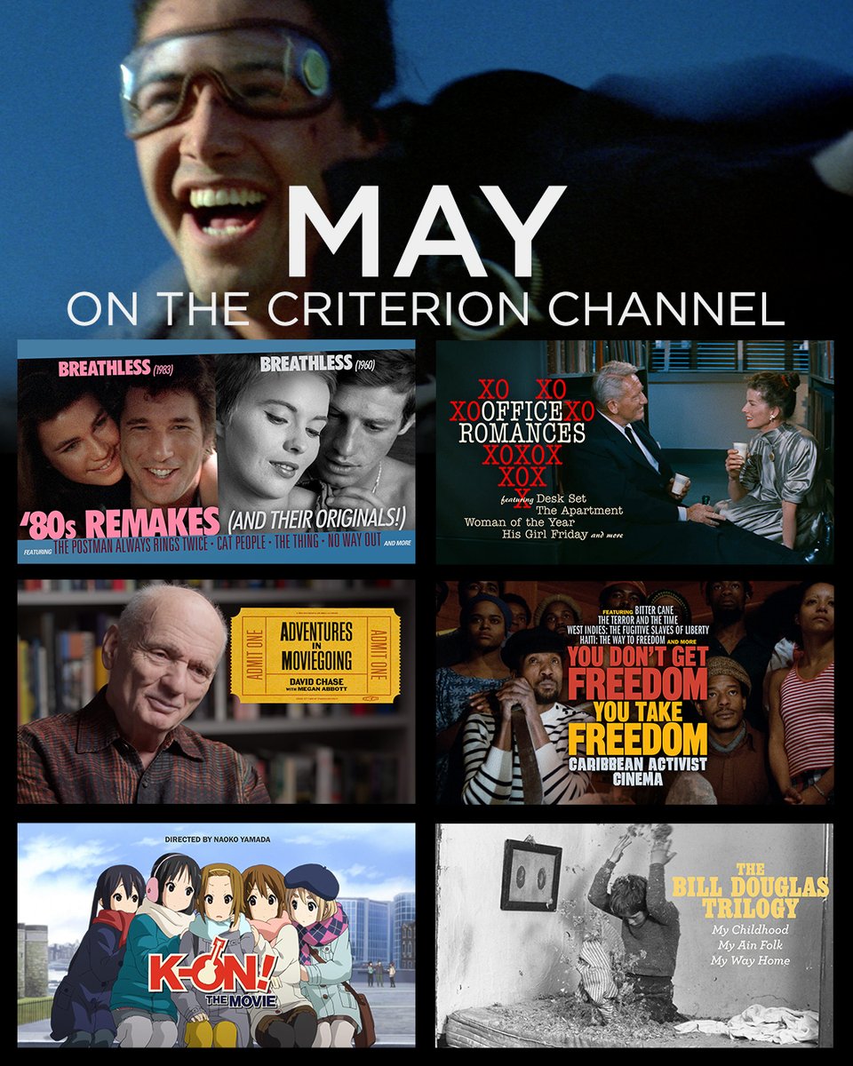 Criterion Collection tweet media