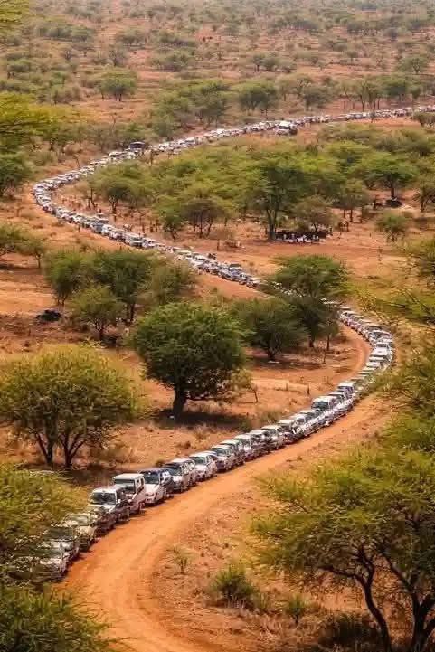 limitless Media Ke tweet media