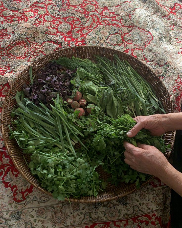 Naida | Inscendence tweet media