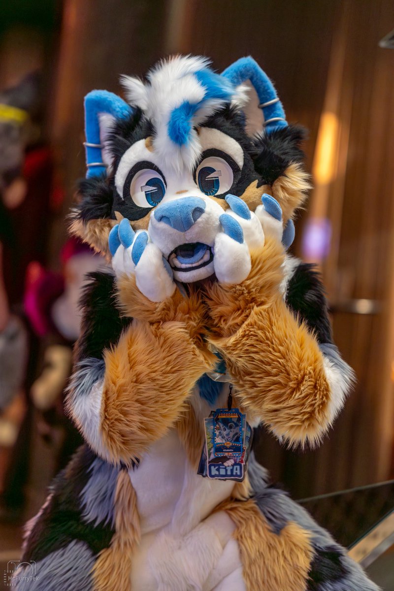 You think I look like Bluey?? I love Bluey!! 🤍✨

🪡 • <a href="/sheenitude/">Sheenitude</a> 
📸 • <a href="/McFurryTek/">Tekie ✨</a> 
#FursuitFriday #YesItsFridayShh