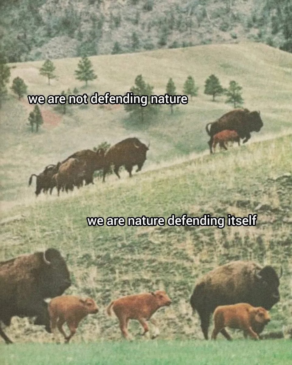 soriandra tweet media