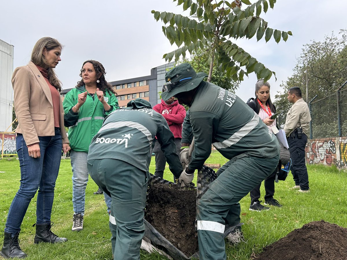 Jardín Botánico BOG tweet media