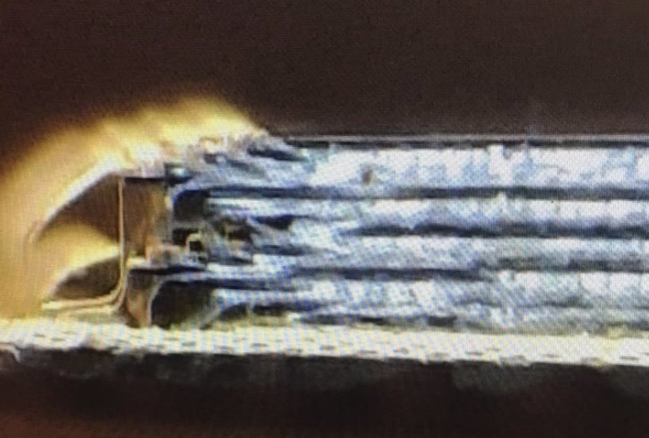 テカナリエ清水 tweet media