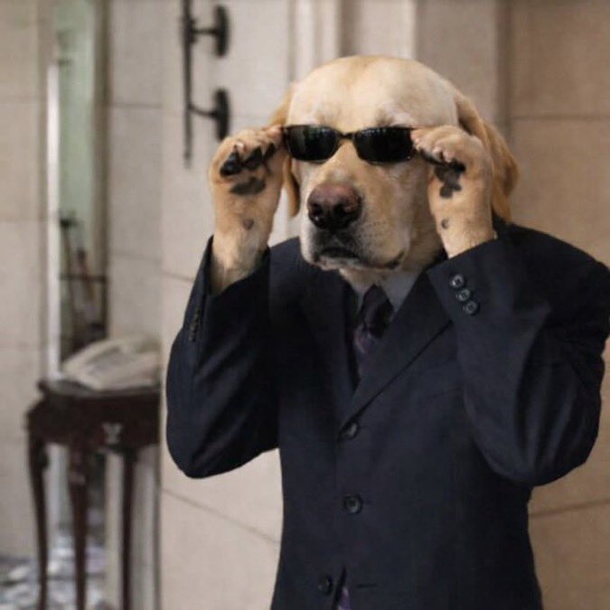 Max_Art $DOG ARC tweet media