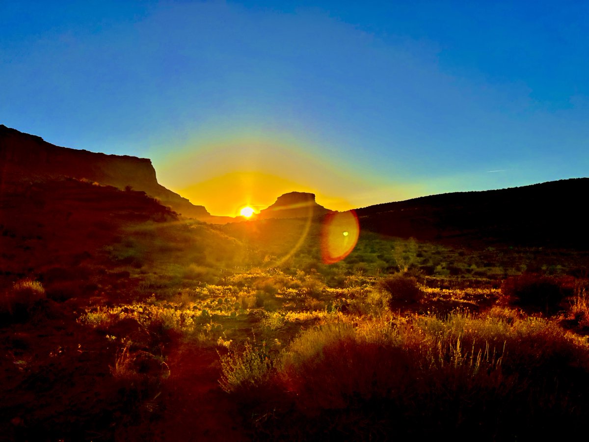 Earthship Danu tweet media