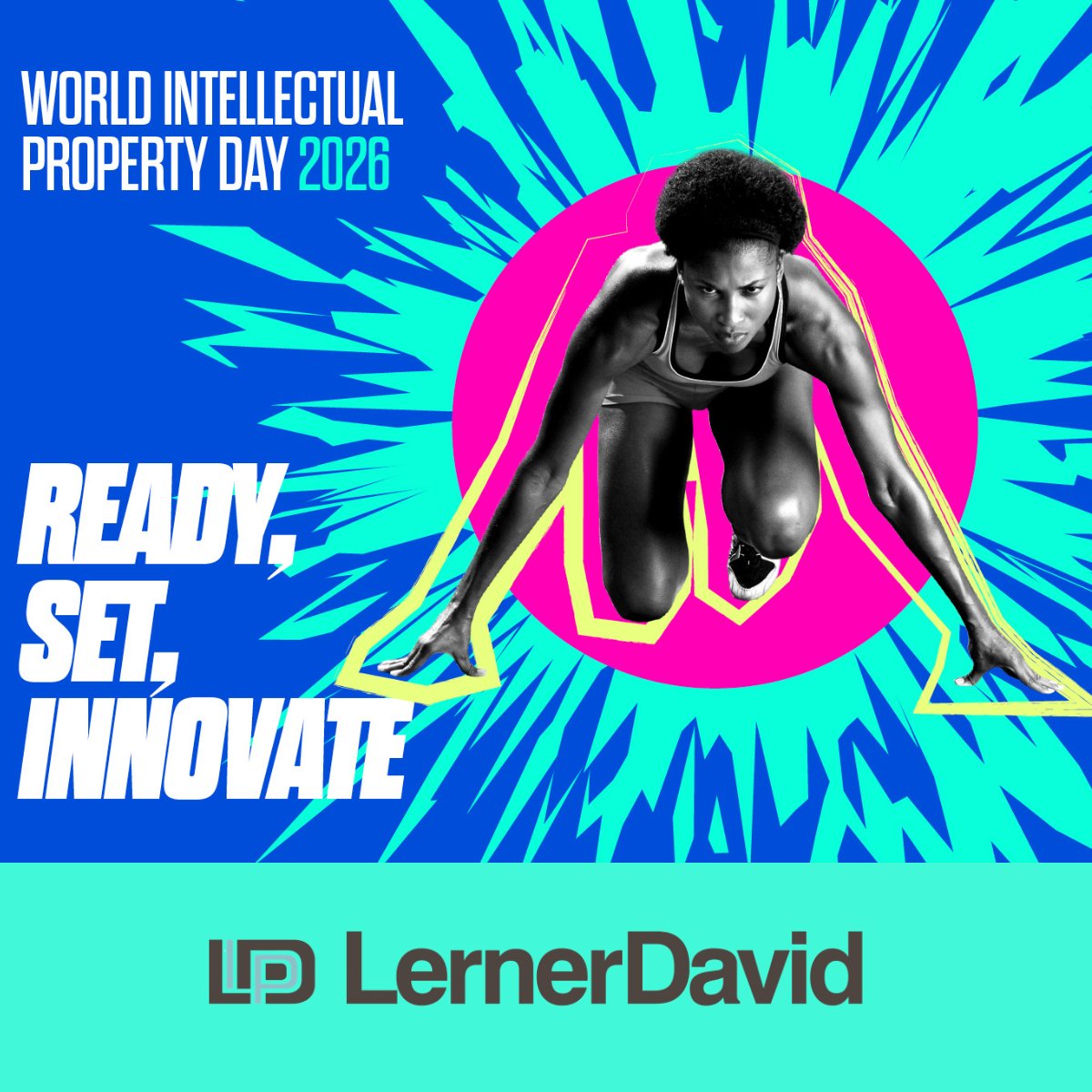 Lerner David tweet media