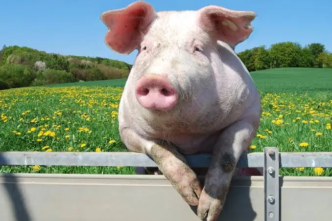 M5 Needs Power tweet media