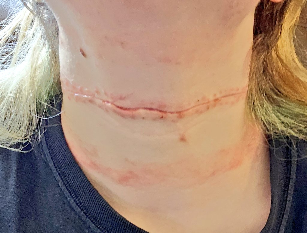 🏳️‍ ᵀᵃʸˡᵉⁿᶻ ⌁ tweet media