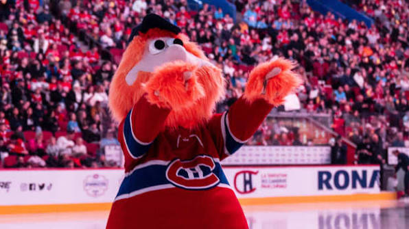 Leo (@litleodawson) on Twitter photo 