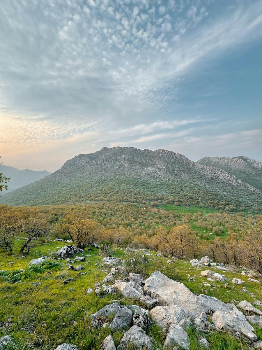 Edgar Manuel tweet media